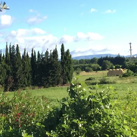 Table D'hotes Carpe Diem Bed & Breakfast Villeneuve-la-Rivière